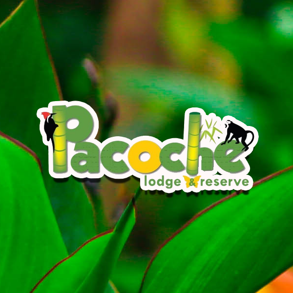 PACOCHE LODGE Y RESERVE
